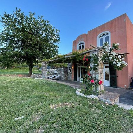 קאפרי Villa Alba מראה חיצוני תמונה